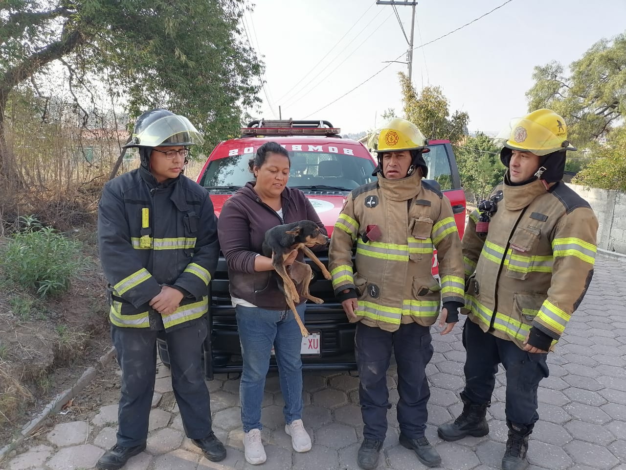 Rescatan bomberos a un canino que cayó a un pozo